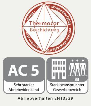 Thermocor Beschichtung