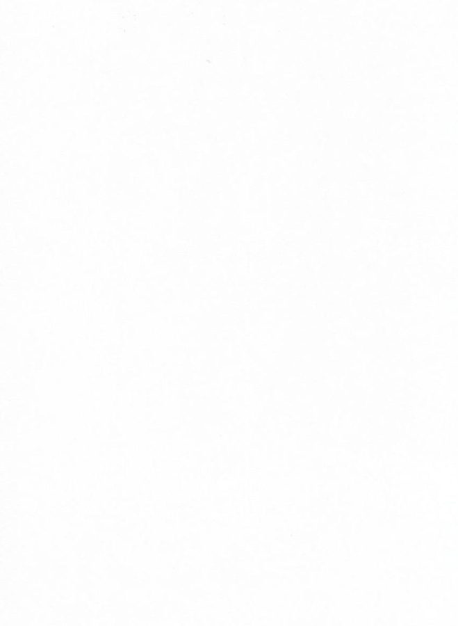 <p>81 uni porzellan</p><p>DK</p>