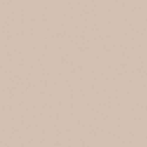 Moebel Dekor Champangner 2745 BS